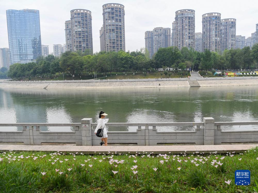 大豪客开奖登录